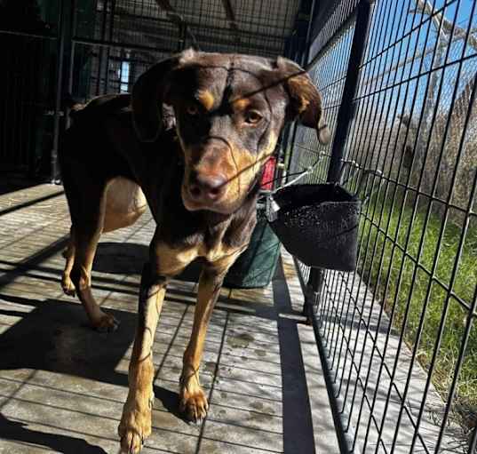 Photo of Gwennie