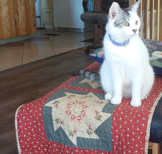 Photo of Binki