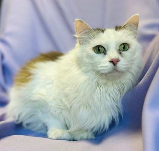 Photo of NALA