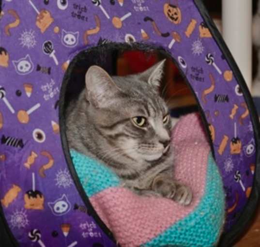 Photo of Roscoe