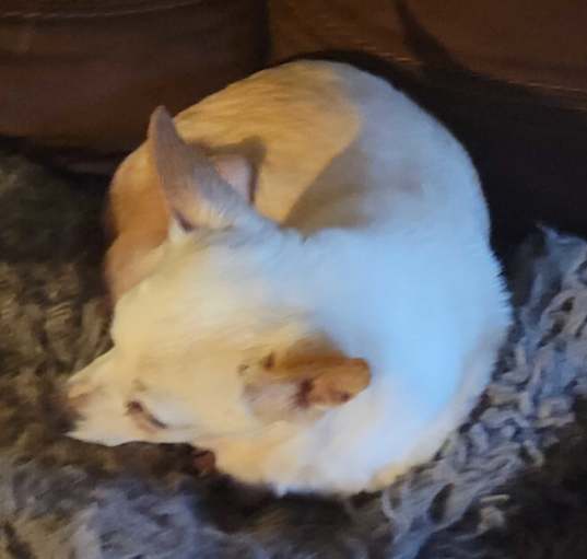 Photo of MISSY