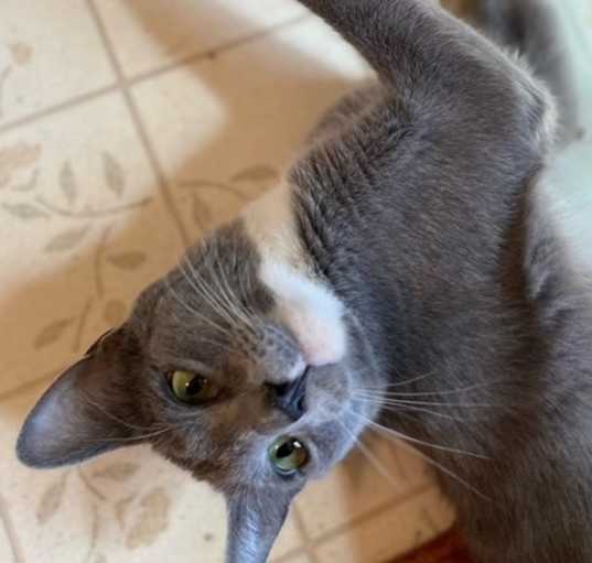 Photo of Tabasco