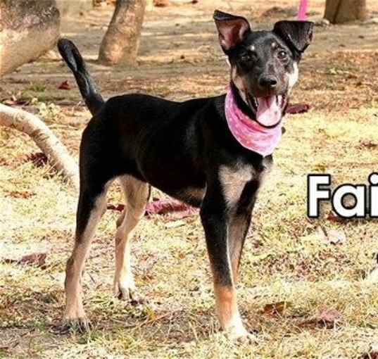 Photo of Faiza from Taiwan