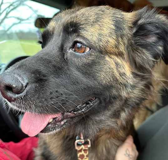 Photo of Xena