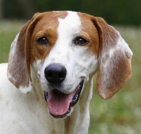 Photo of Thelma