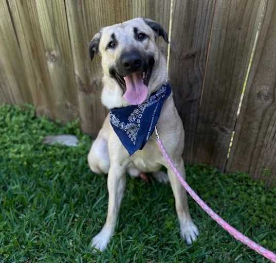 Photo of JUNIOR the JUBILANT