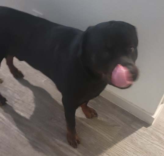 Photo of Zeus