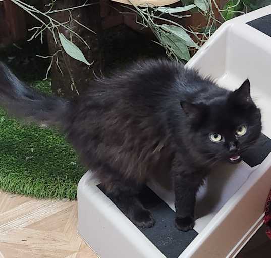 Photo of Liza