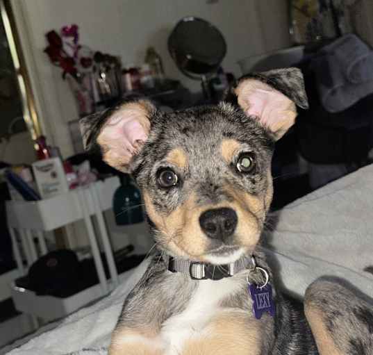 Photo of Lexy