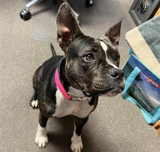 Photo of Doby