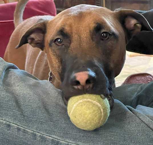 Photo of Lennox