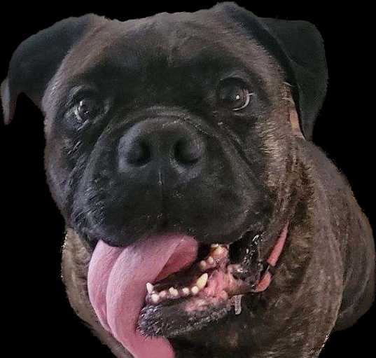 Photo of Mae