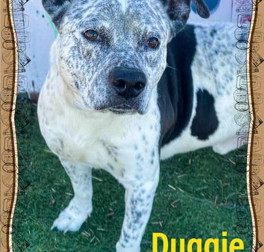 Photo of Duggie