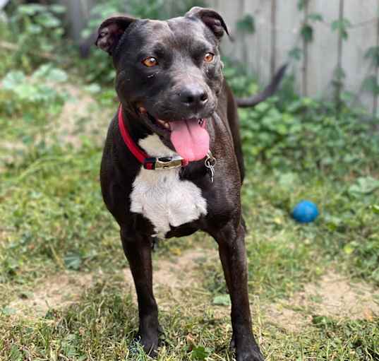 Photo of Lola