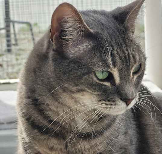 Photo of ARTEMUS