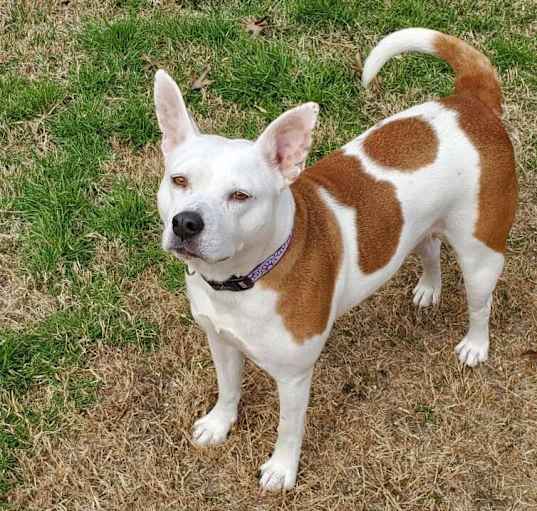 Photo of Lucy
