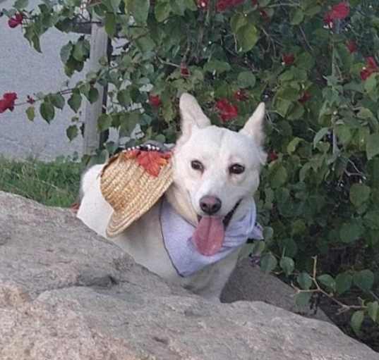 Photo of Chloe