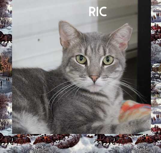 Photo of Ric