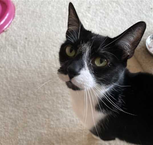 Photo of Jack