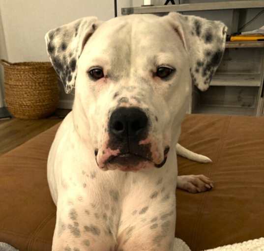 Photo of Binka