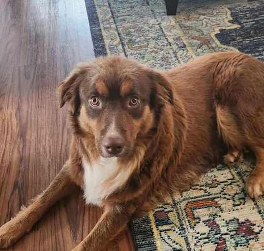 Photo of Chase