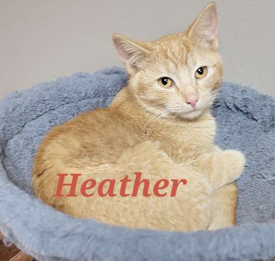 Photo of Heather