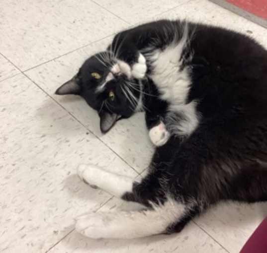 Photo of ROCKET