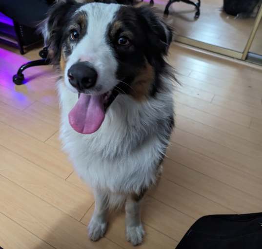 Photo of Max