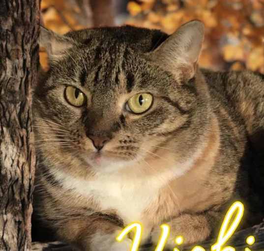 Photo of Vicki