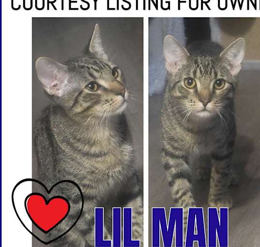 Photo of Lil Man-COURTESY LISTING