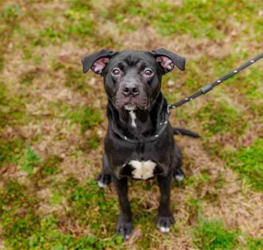 Photo of Maggie