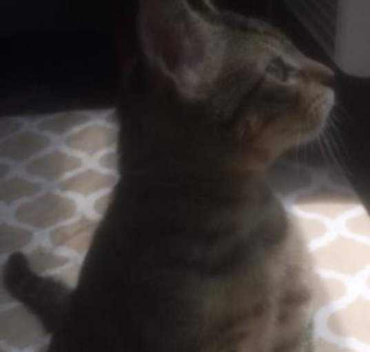 Photo of Pirate Jack