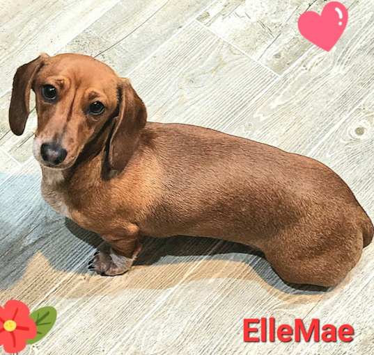 Photo of ElleMae