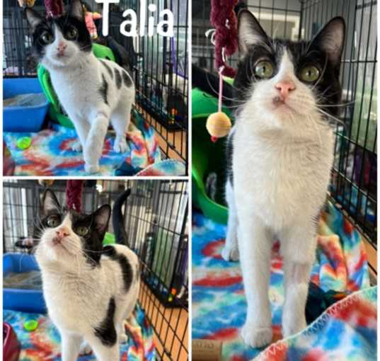 Photo of Talia