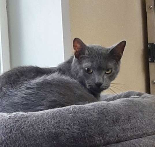 Photo of Jim