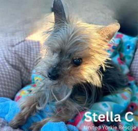 Photo of Stella C