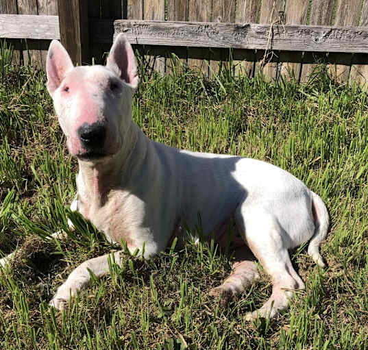 Photo of Burt