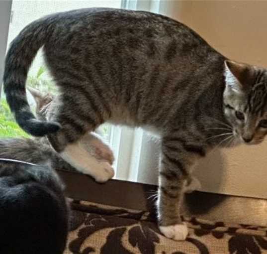 Photo of TINY