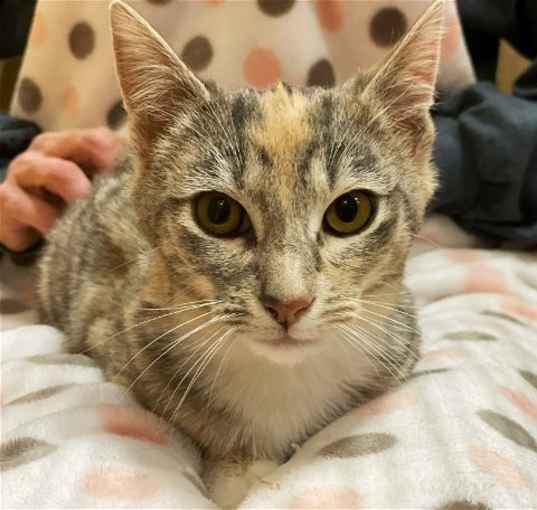 Photo of Bertha
