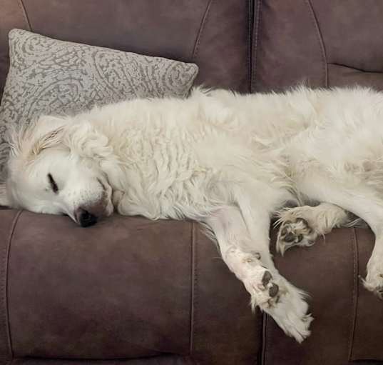 Photo of Bernie