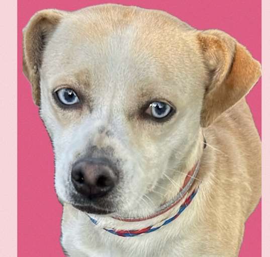Photo of Jenny