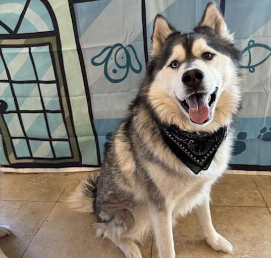 Photo of Clyde