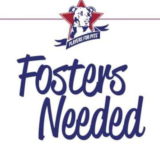 Photo of You can be a foster!