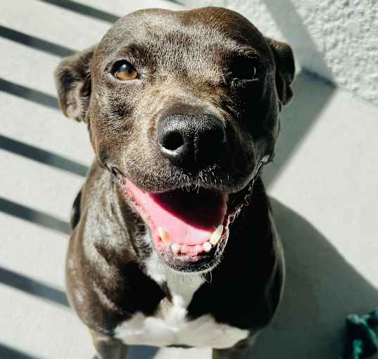 Photo of Edie