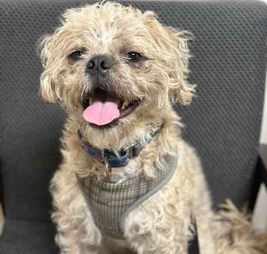 Photo of Sunny