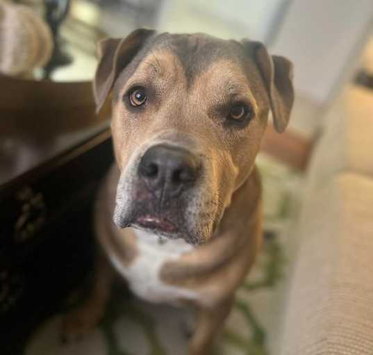 Photo of Uhtred aka Ooty
