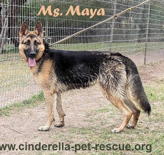 Photo of Ms. Maya