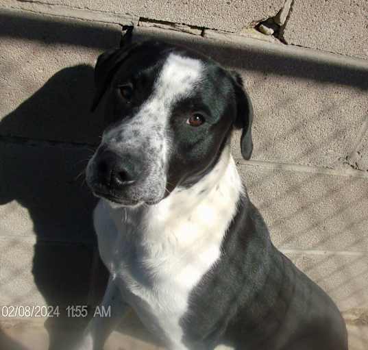 Photo of RODNEY
