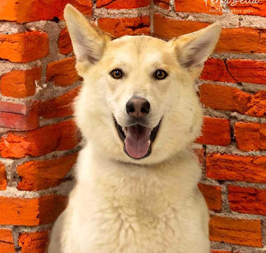 Photo of Fantasma (Tazzy)