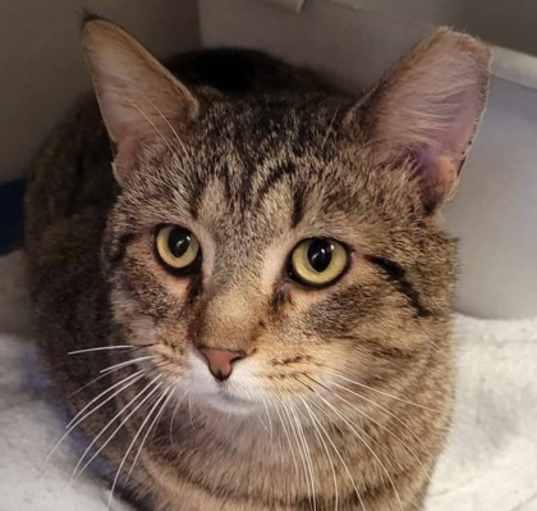 Photo of Otto